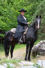 07-1-Harry-Melton