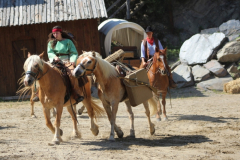 IMG_0105_b